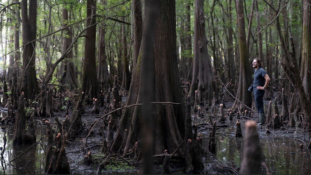 Caddo Lake