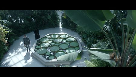 A cooler blueish tone was used to add a melancholic feel to a scene where Arthur Guinness says goodbye to his loved one in a glass house.