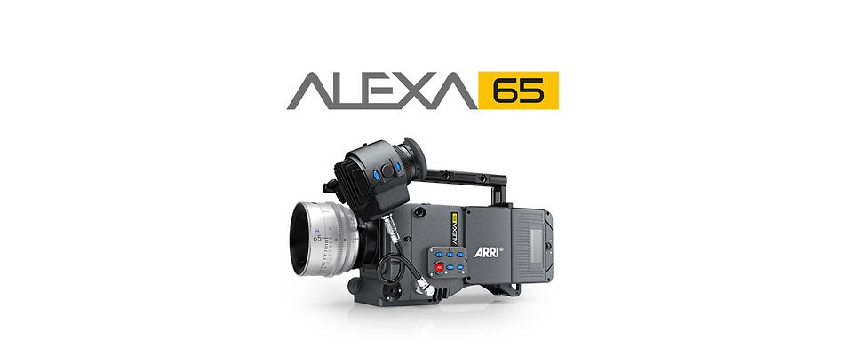 ALEXA 65 logo - POS_color_grey70%-08